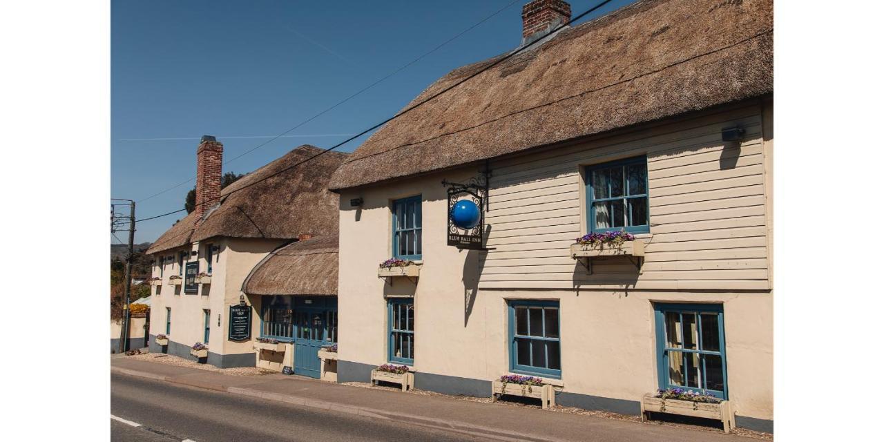 The Blue Ball Inn Сідмут Екстер'єр фото
